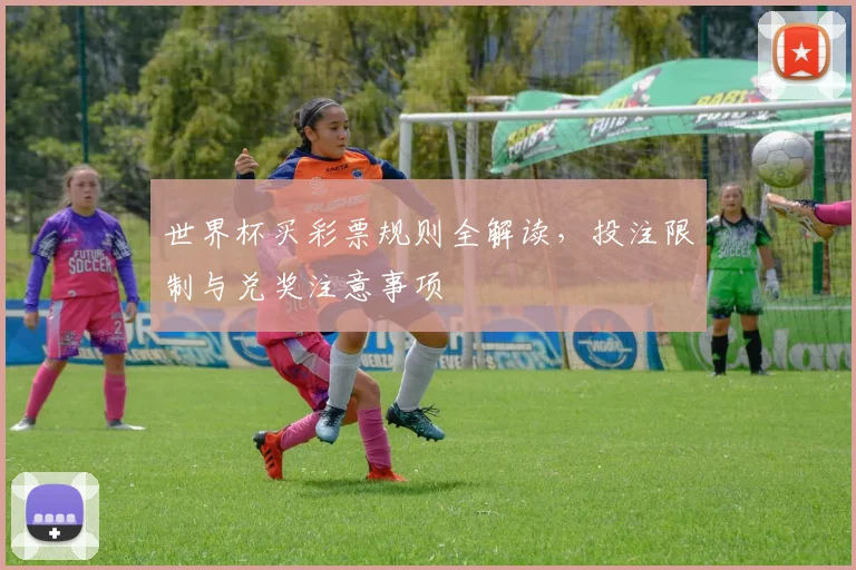 世界杯买彩票规则全解读，投注限制与兑奖注意事项
