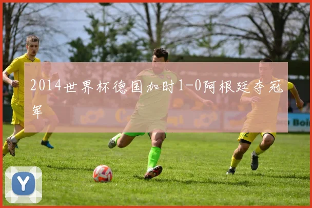 2014世界杯德国加时1-0阿根廷夺冠军